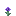 Purple Flower